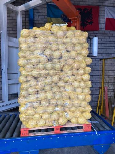 liedo-celeriac-knollen-33