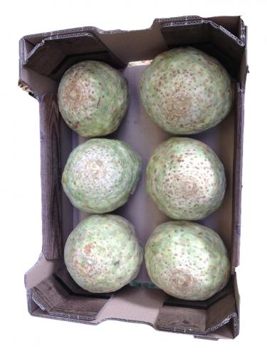 liedo-knolselderij-krat-eps-t-5kg